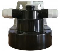 Testata EUROPURE