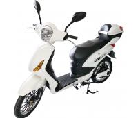 Velocipede elettrico con pedalata assistita