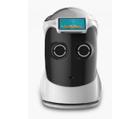 Robot Oba
